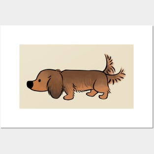 Dachshund Series (Red Long hair) Posters and Art